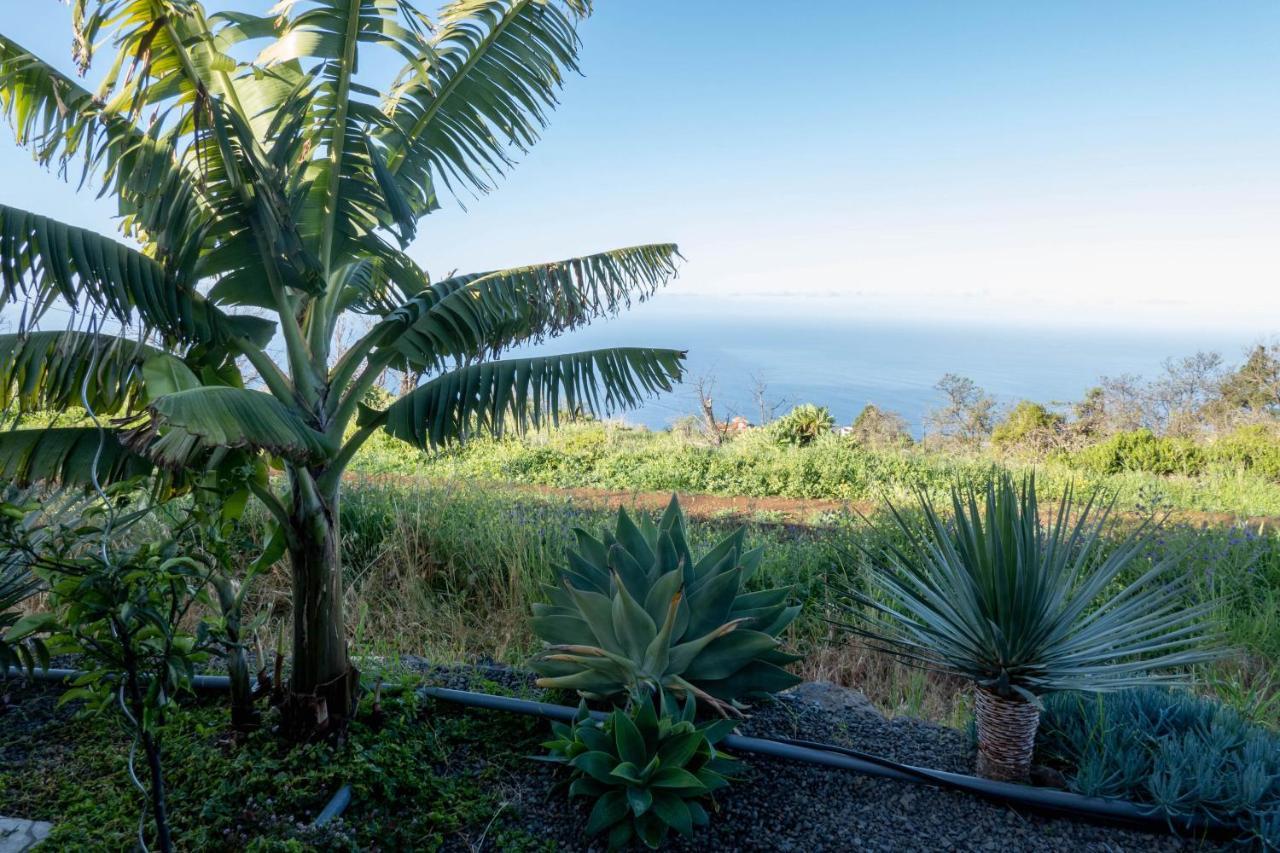 Ferien Haus La Palma Hotell Tijarafe Eksteriør bilde