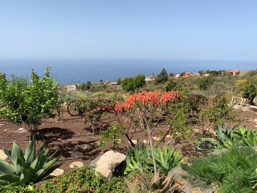 Ferien Haus La Palma Hotell Tijarafe Eksteriør bilde