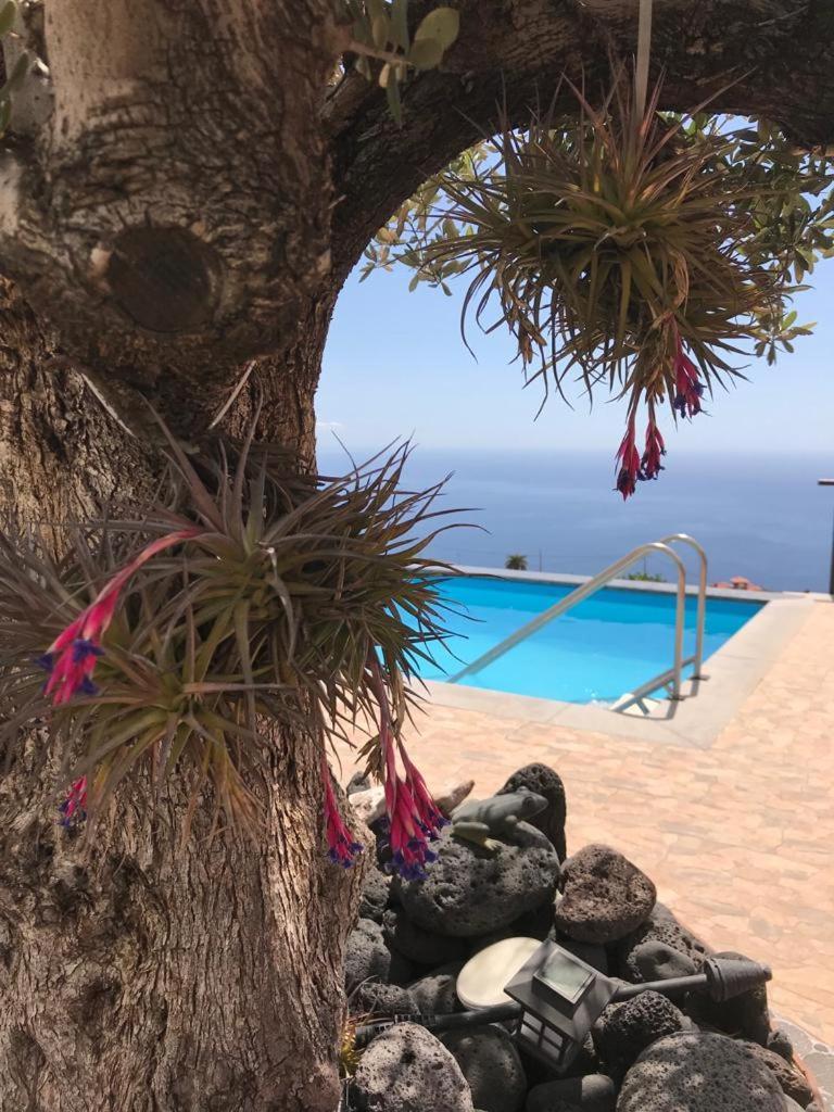 Ferien Haus La Palma Hotell Tijarafe Eksteriør bilde